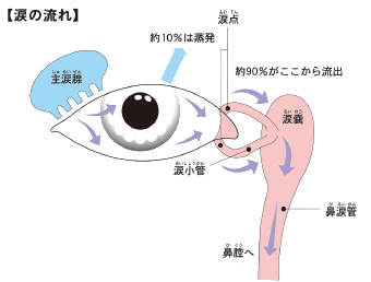 あくびで涙や鼻水が出る理由 涙が多い 大量にたくさんの涙が出るのは病気かも ネタバズ